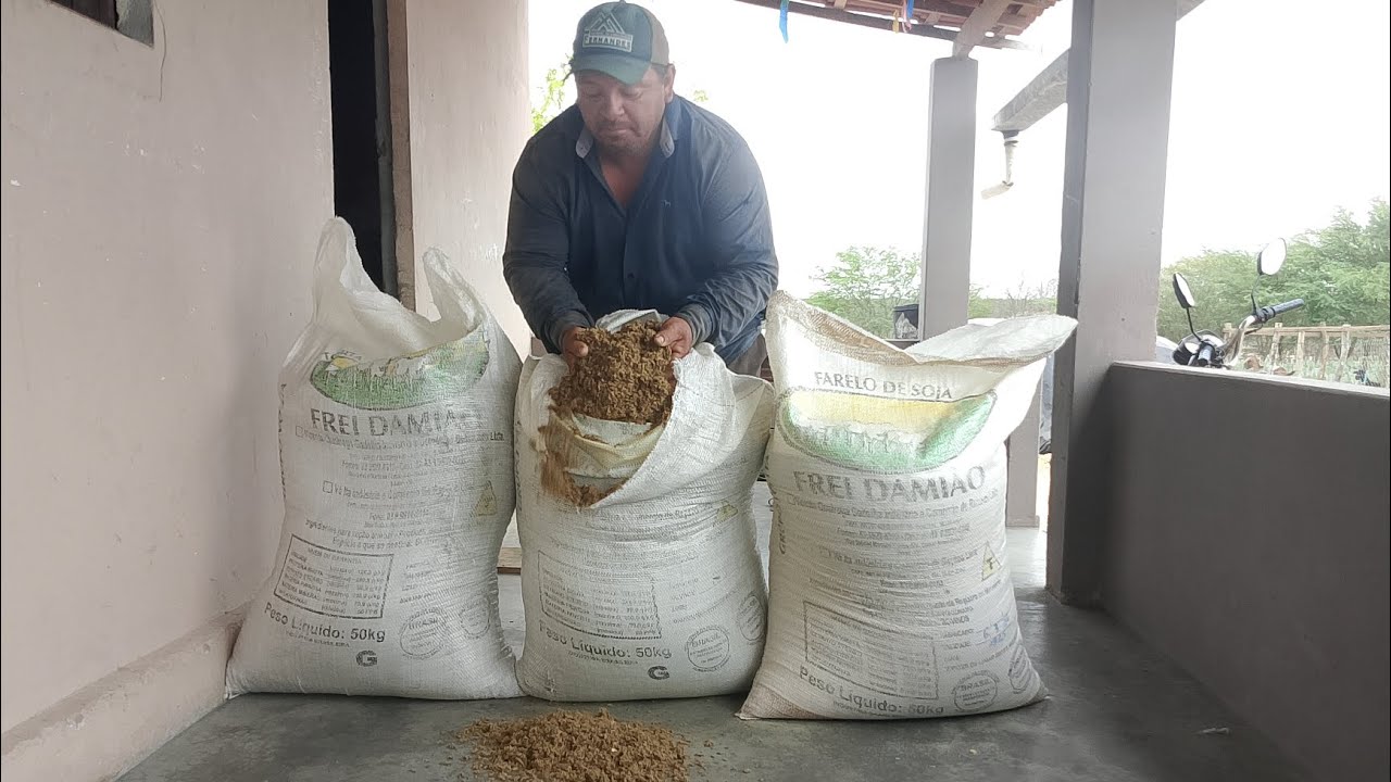 CHEGOU RAÇÃO TRÊS SACOS DE RESÍDUO E UM DE SOJA JÁ MISTURAMOS E INICIAMOS   @