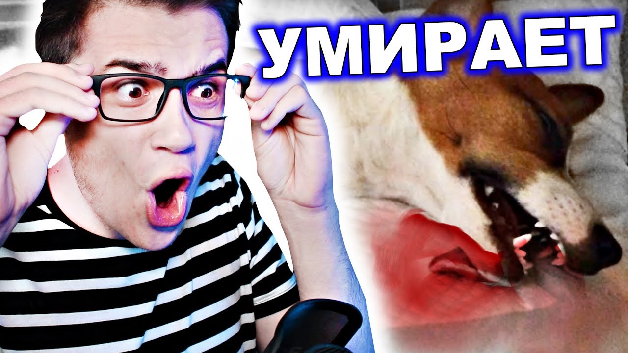 Эли энд фар