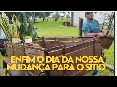 ENFIM O DIA DA NOSSA MUDANÇA PARA O SÍTIO... MÓVEIS  CACHORROS E MAIS...  Morenaflor e cactos 🌵