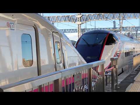 東北・山形新幹線 やまびこ×つばさ140号 東京行き 到着