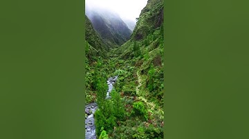 ﴿إن قارون كان من قوم موسى فبغى عليهم﴾ #سعود_الشريم #سورة_القصص #quran #اجر_لي_ولك #للنشر #أجر #قرآن