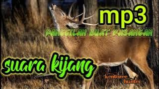 Suara kijang liar, pemanggil Pasangan