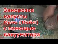 Заморозка капусты КАЛЕ, овощей и фруктов с помощью вакууматора CASO