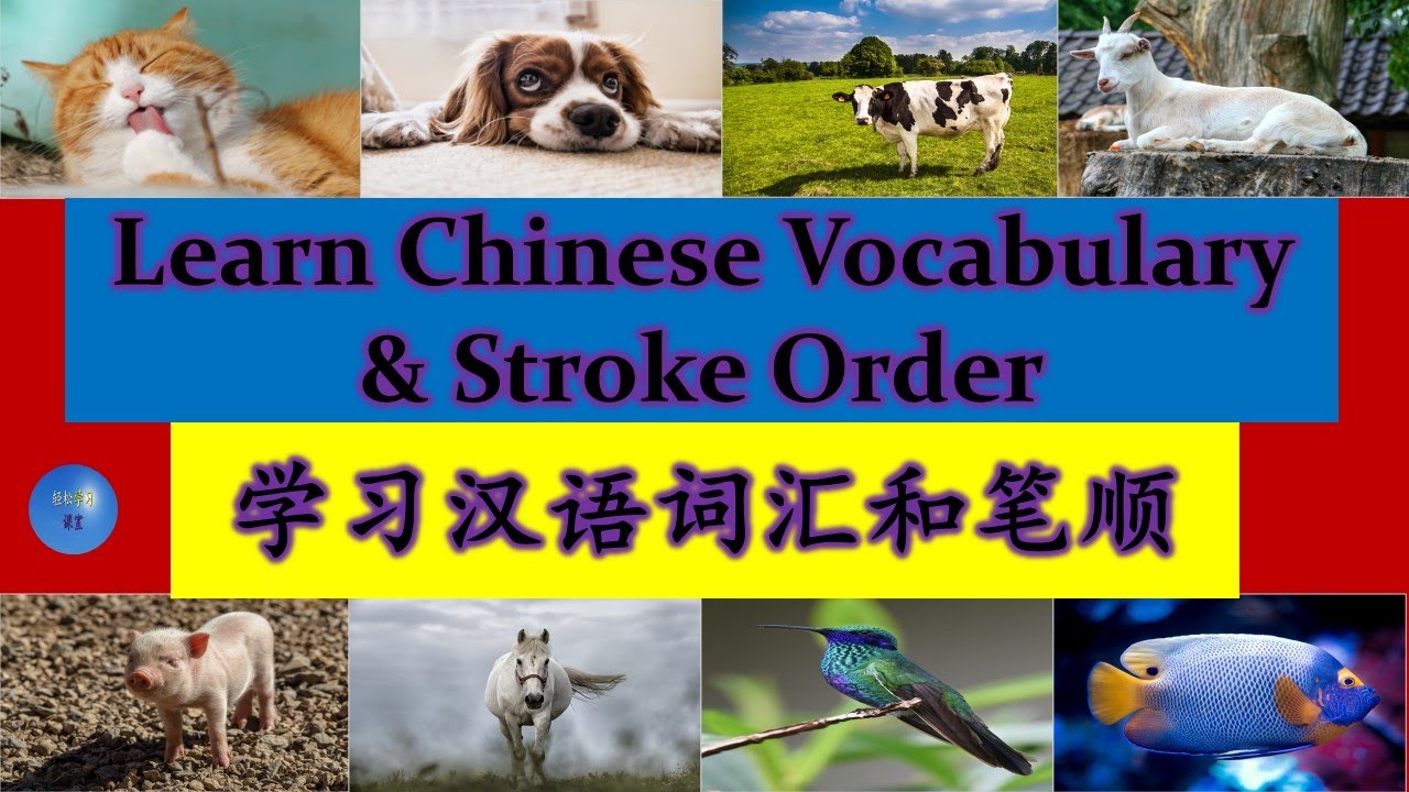 Animals 动物 How to write 猫 狗 牛 羊 猪 马 鸟 鱼 Learn Chinese Vocabulary Stroke ...