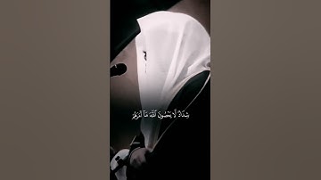 الشيخ ياسر الدوسري| سوره التحريم