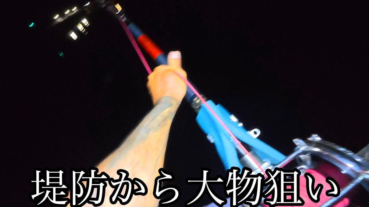 When I went fishing for giant fish from the harbor, I caught a