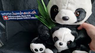 Panda + bébé :  lumineux.ch