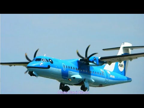 朝から逆ラン!また欠航。天草エアライン・みぞか号生中継!伊丹空港!! Plane Spotting Osaka Itami Airport 07/11/2025