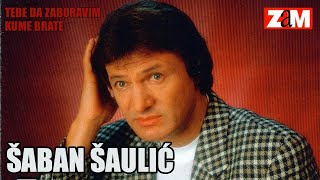 Video thumbnail of "Saban Saulic - Srce je moja tvrdjava - (Audio 1998)"