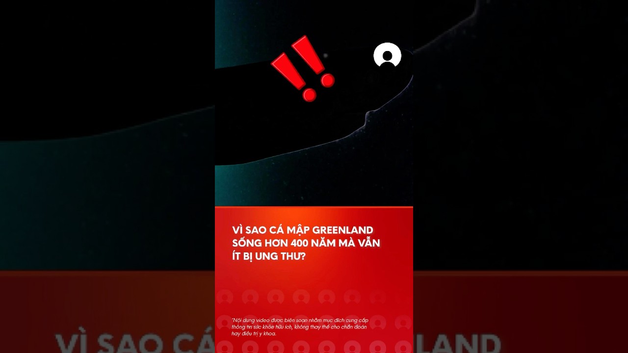 VÃ¬ sao cÃ¡ máº­p Greenland sá»‘ng hÆ¡n 400 nÄƒm mÃ  váº«n Ã­t bá»‹ ung thÆ°? #greenland #ungthu