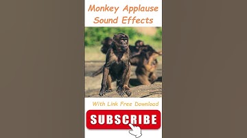Monkey Applause Sound Effects #soundeffects #shorts