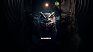 Why Owls Are Silent Masters of the Night 🌙🦉 || #animals #curiouscreatures @The_CuriousCreature screenshot 1