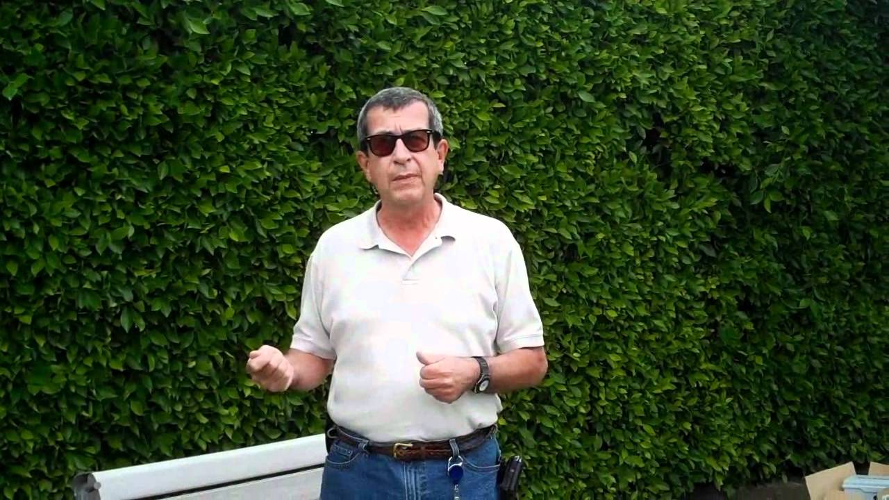 The Importance of California Friendly Plants