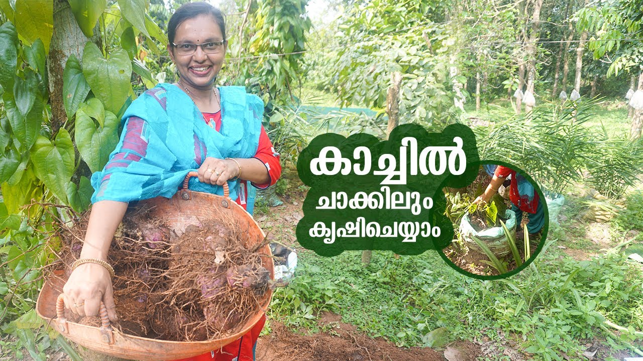 Можно сажать в мешок