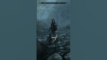 Random Fugitive Appears in Skyrim