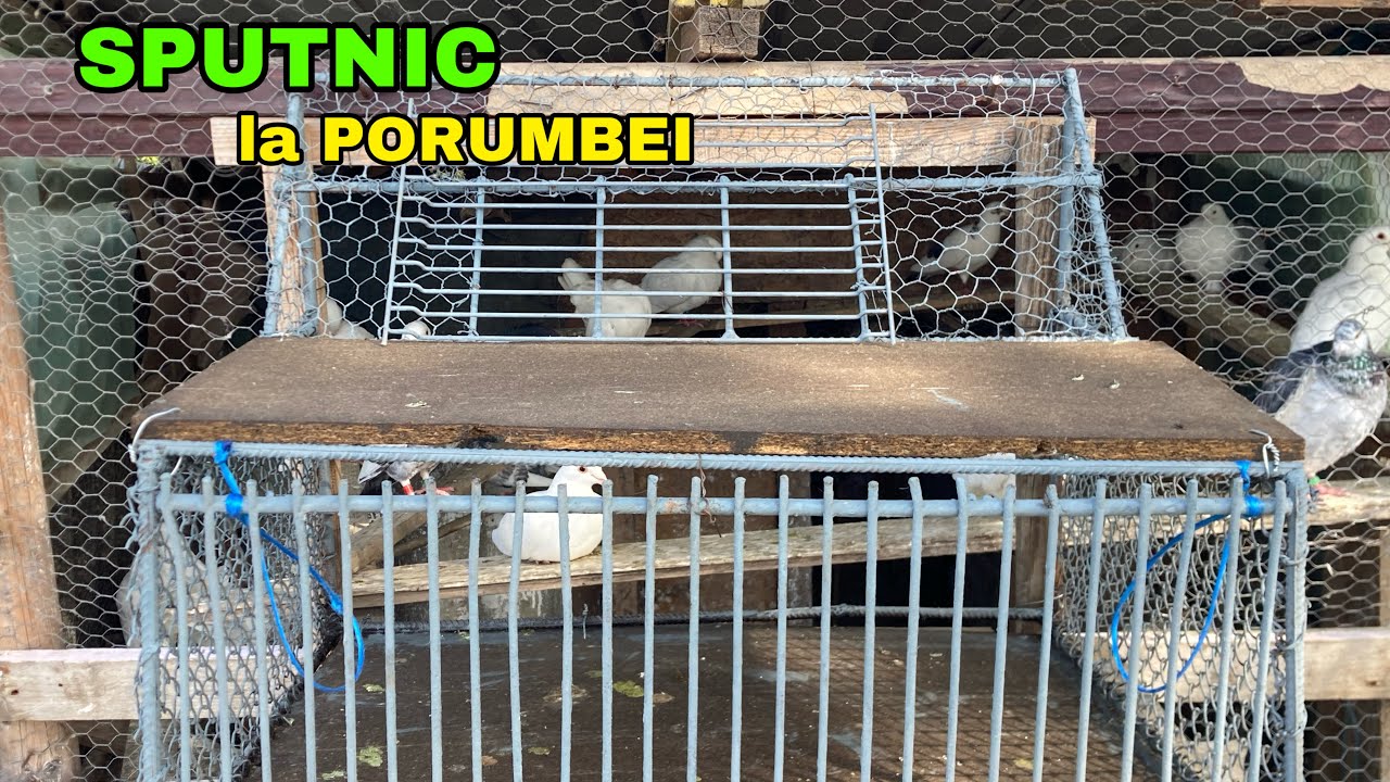 Am CONSTRUIT un SPUTNIC la Porumbei !🕊️👷🛠️
