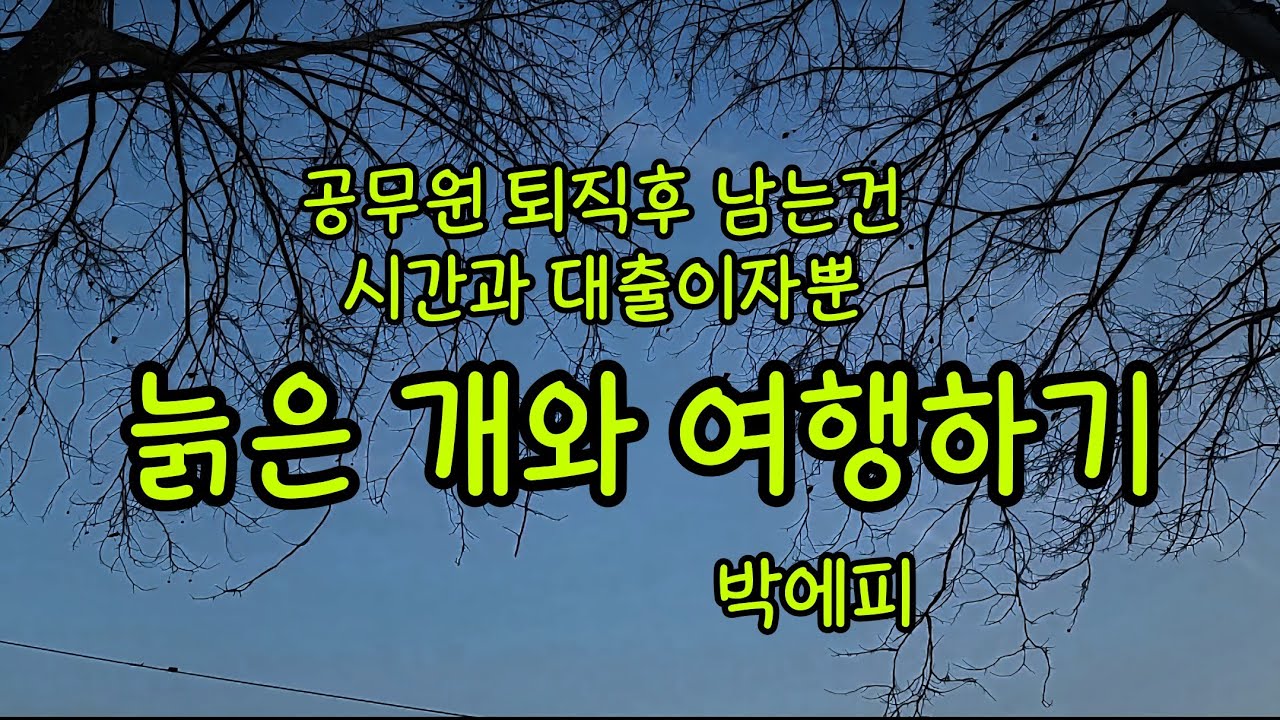 잠들기전 마음을 달래는 편안한 이야기소리ㅣ늙은 개와 여행하기 - 박애피ㅣ대한민국소설ㅣ수면유도이야기소리ㅣ밤을 잊은 그대와