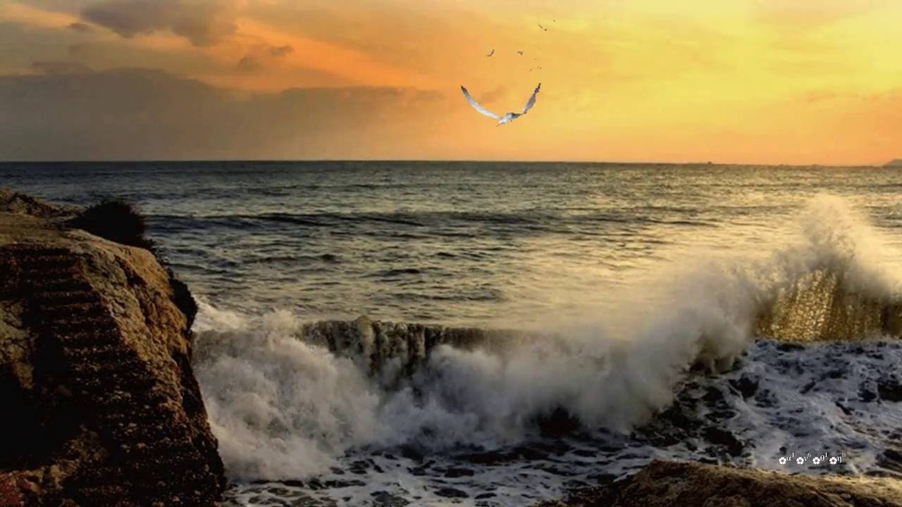 Θάλασσα πλατειά ~Μαρία Δημητριάδη