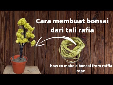 cara membuat bonsai dari tali rafia || how to make a bonsai from raffia ...