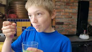 Worlds most disgusting smoothie