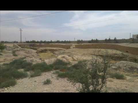 حياة البدوية