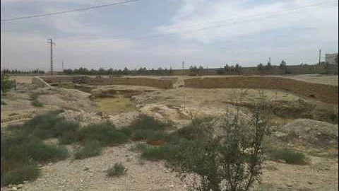 حياة البدوية 