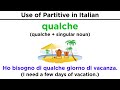 Understanding Partitive in Italian