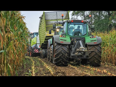 Modderen in de mais – Harvesting maize in mud – BMWW – Claas Jaguar 940 – Mais hakselen – Kukurydza