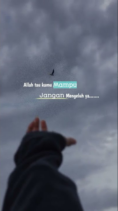 video tiktok untuk status wa