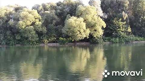 Thumbnail of ИГОРЬ ТАЛЬКОВ..ЧИСТЫЕ ПРУДЫ ПЕСНЯ