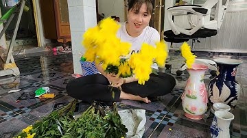 Một Ngày Đưa Ông Táo Về Trời Của Tep Rong TV