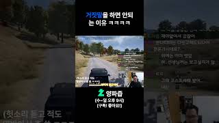 거짓말은 나빠요. #배틀그라운드 #온라인게임 #배그 #유튜버 #게임