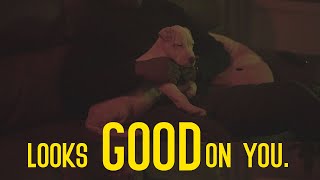 Gordy - LOOKS GOOD ON YOU (official video)