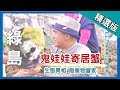 台灣第一等【生態異相 鬼娃娃寄居蟹】綠島 _精選版