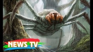 Truy tìm tông tích những quái nhện khổng lồ ăn thịt người thời cổ đại
