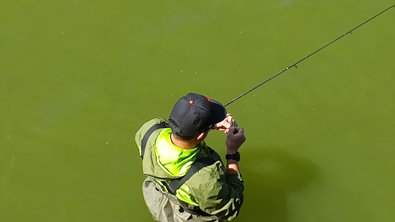 5/1/19 CONCRETE BRIDGE, LAKE MERCED, DALY CITY CA
