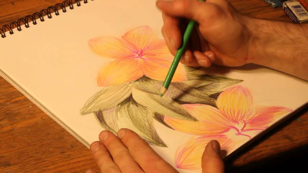 How to Draw Flowers With Colored Pencils - YouTube