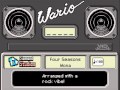 WarioWare DIY Mona S Records Four Seasons WarioWare DIY Mona S Records Four Seasons