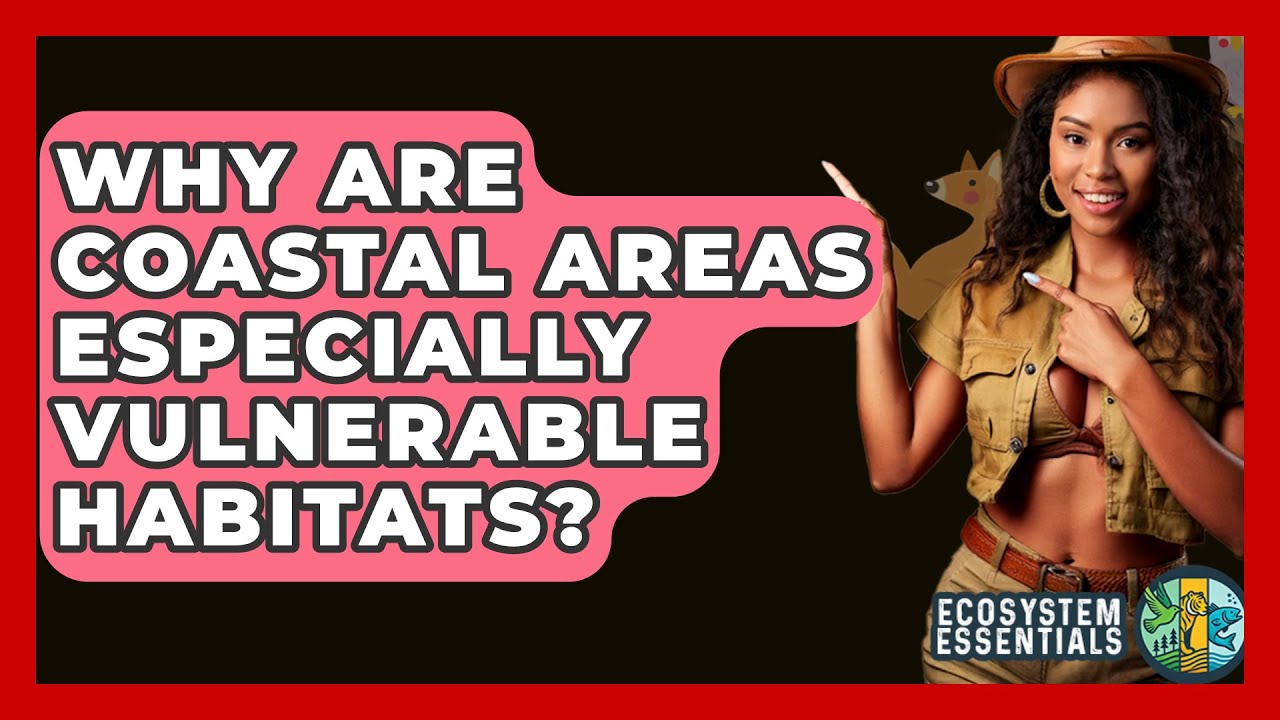 Why Are Coastal Areas Especially Vulnerable Habitats? - Ecosystem Essentials