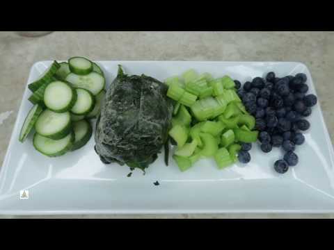 green-smoothie-detox-cleanse-recipe