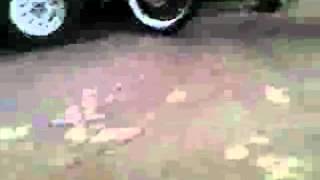 Cr 250 Burnout 1