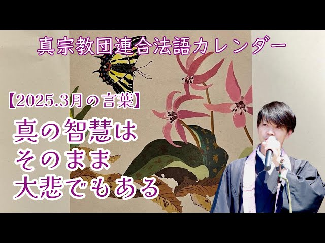 法話】真の智慧はそのまま大悲でもある～2025.3 法語カレンダーの言葉