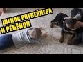 Реакция ребёнка на щенка ротвейлера.