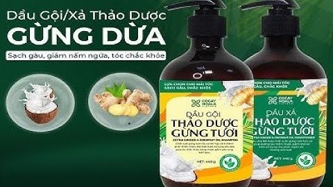 Review Dầu gội - xả Thảo dược Gừng Dừa hữu cơ Cỏ Cây Hoa Lá - Sạch gàu hết ngứa ngay sau lần đầu gội