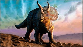 Triceratops - Ancient Animal