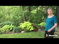 Gananoque Virtual Garden Tour - Alice