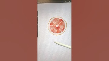 5 min watercolor grapefruit in Procreate #procreate #procreateart #digitalart #digitalwatercolor