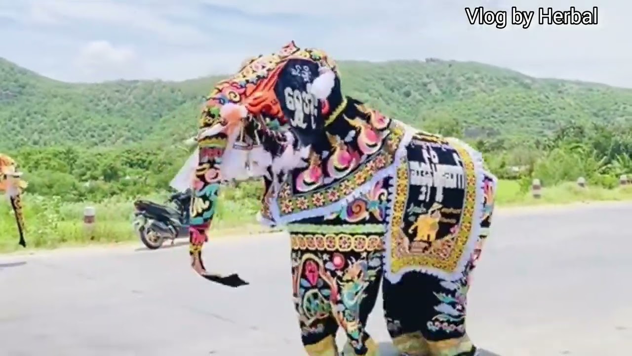 ကျောက်ဆည်ရိုးရာဆင်အကအလှ...|Kyaukse Traditional Elephant Dance...|Travelling