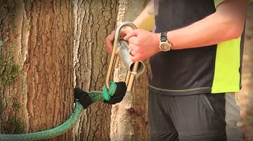 SherrillTree Video Series: Climbing Techniques