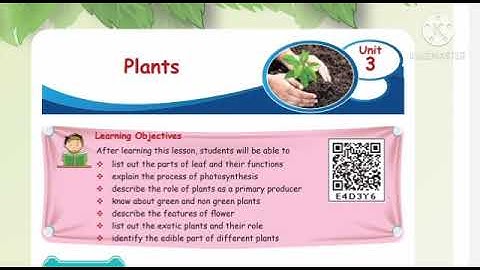 Class 4 science ln 3 plants Term -2